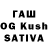 Галлюциногенные грибы мухоморы Tashinka Wagmann