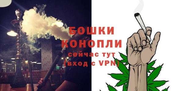гидра Козловка