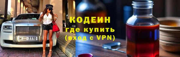 гидра Кодинск