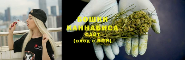 гидра Кодинск