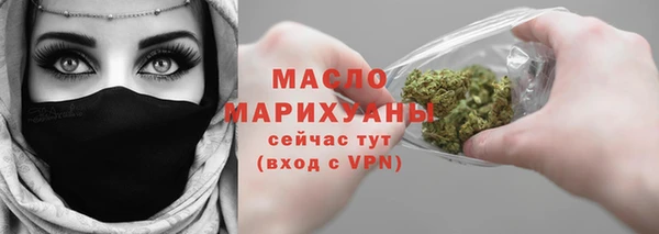 гидра Кодинск