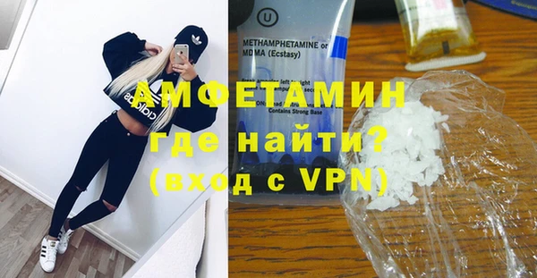 гидра Кодинск