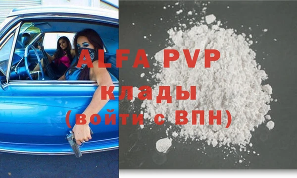 гидра Кодинск