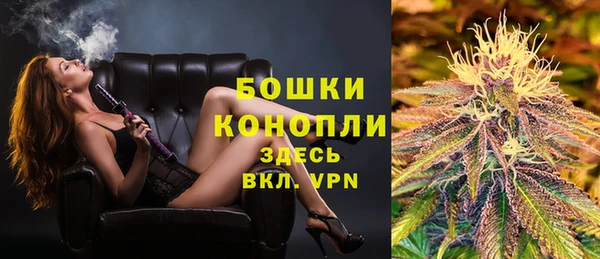 гидра Кодинск