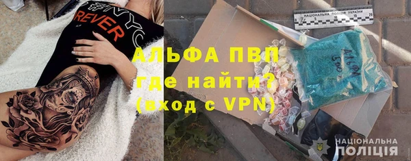 гидра Кодинск