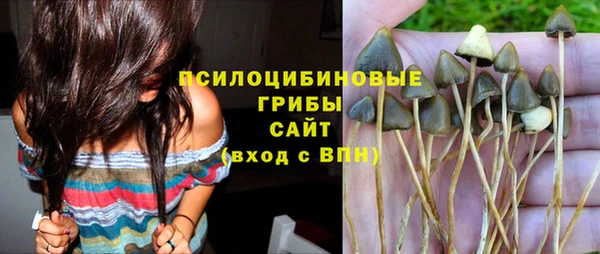 Альфа ПВП Козельск