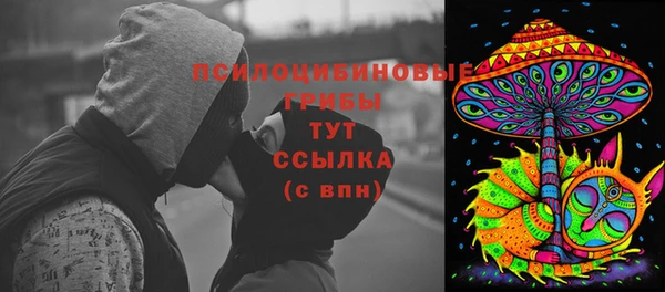 гидра Козловка