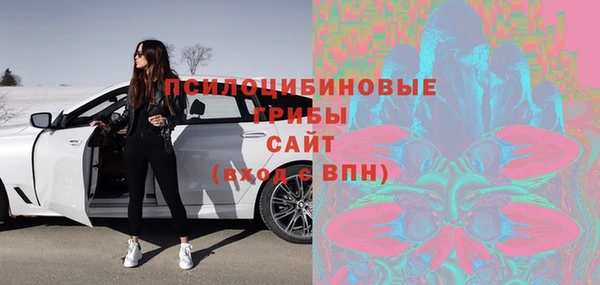 гидра Козловка