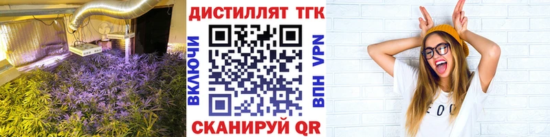 Купить  Георгиевск  ТГК концентрат 